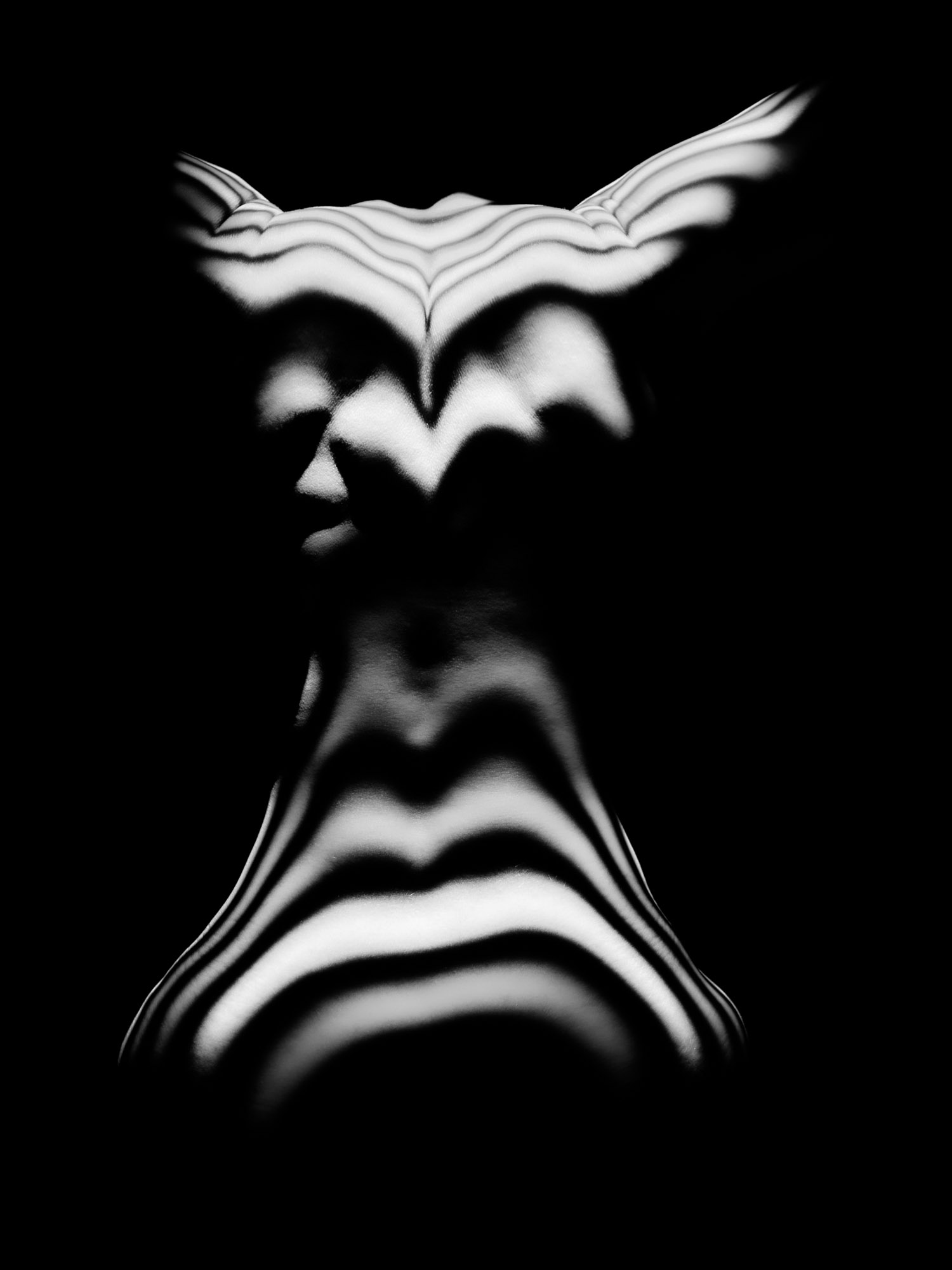abstract black and white fine art photograph with layered projected lines forming a modular body shape