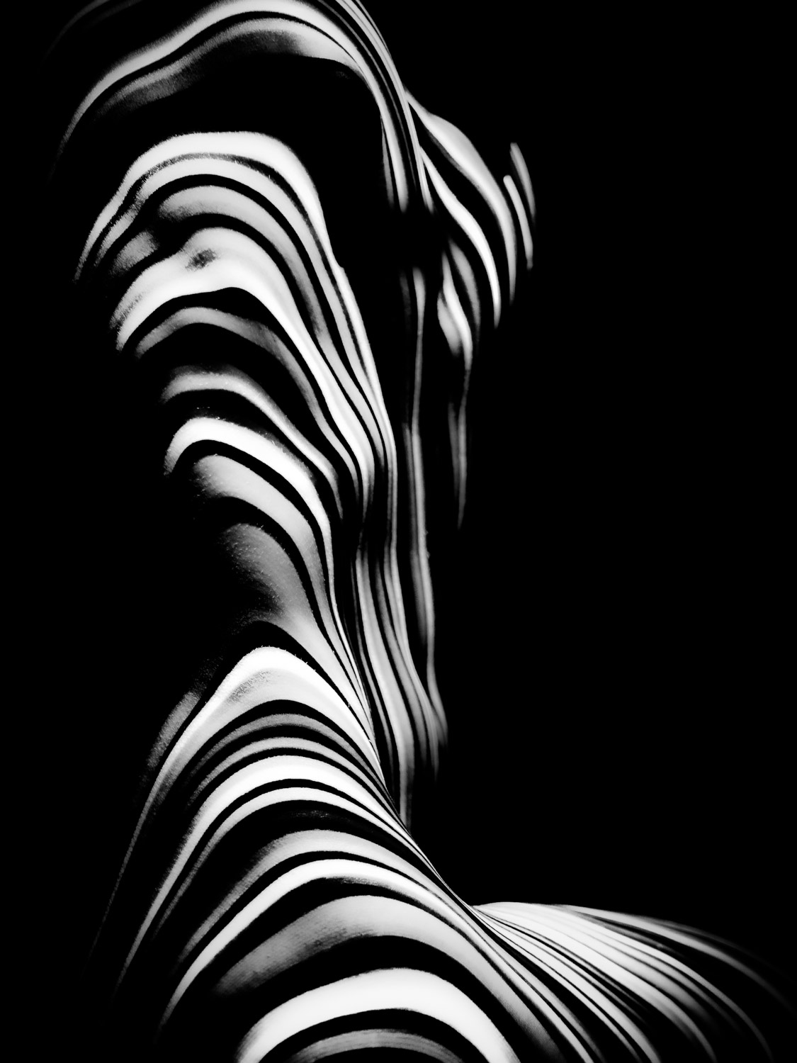 flowing projected stripes forming a dynamic abstract body landscape in monochrome